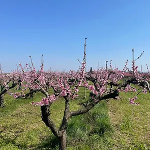 https://alloggio-della-corte.hotelinveneto.com